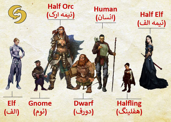 4-haw-to-write-charactersheet-in-DnD-race