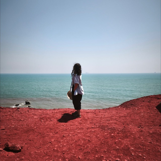 گرداننده